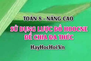 Lược đồ Hoocne: Cách sử dụng để chia đa thức và bài tập vận dụng (Toán 8)